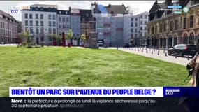 Lille: bientôt un parc sur l'avenue du Peuple-Belge?