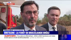 Incendie dans la forêt de Brocéliande: "250 à 260 hectares ont brûlé", affirme le préfet du Morbihan