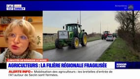Colère des agriculteurs: la région des Hauts-de-France interpelle l'Etat sur les conditions de ses filières agricoles