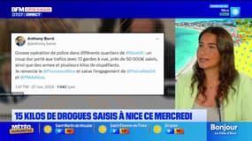 Nice: plus de 15 kilos de drogue saisis lors d'une opération, 13 personnes interpellées
