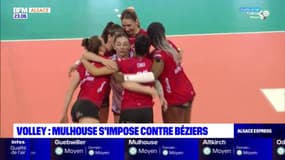 Volley: Mulhouse s'impose contre Béziers trois sets à zéro