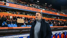 Franck Haise lors de Montpellier-Lens, le 8 décembre 2023.