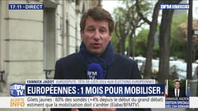 Européennes: "Si on veut s’attaquer aux paradis fiscaux, il nous faut l’Europe", Yannick Jadot