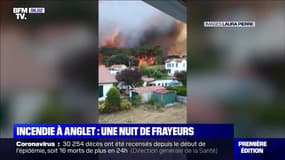 Un incendie à Anglet ravage la forêt de Chiberta dans les Pyrénées-Atlantiques