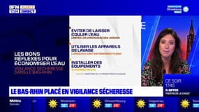 Vague de chaleur dans le Bas-Rhin: une canicule pire qu'en 2003?