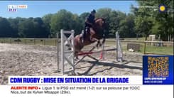 Brigade équestre 93: les chevaux formés à l'encadrement de la Coupe du monde de rugby
