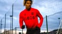 Todibo