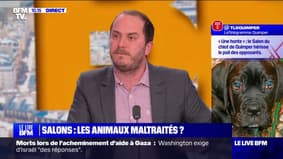 Salon de l'agriculture, salons du chiot... Les animaux sont-ils maltraités lors de ces évènements?