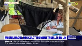 Seine-Maritime: des culottes menstruelles en lin à Mesnil-Raoul