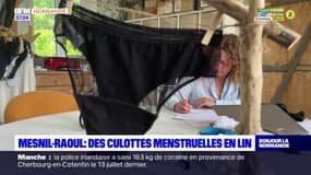 Seine-Maritime: des culottes menstruelles en lin à Mesnil-Raoul