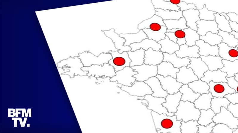 Infographie