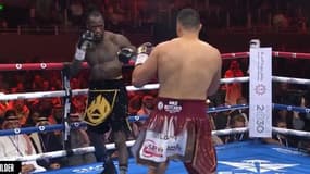 Deontay Wilder contre Joseph Parker, le 23 décembre 2023