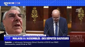 Jean-François Rousset, Renaissance deputy, on the malaise of the official of the National Assembly: "Her condition is stable, the problem has been identified and she is in good hands for treatment."