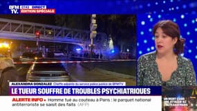 Attaque au couteau à Paris: la garde à vue de l'assaillant a commencé