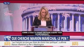 Que cherche Marion Maréchal-Le Pen ?