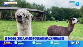 Pont de l'Ascension: 15.000 à 20.000 visiteurs attendus au zoo de Cerza