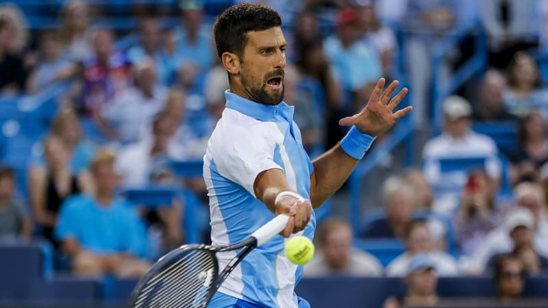 N. Djokovic