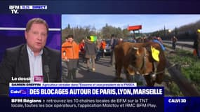 Menaces de blocage du marché de Rungis: "Il ne faut pas mettre la France à l'arrêt", estime Damien Greffin (vice-président de la FNSEA)