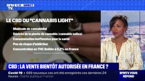 Pourquoi le CBD pourrait-il être légalisé en France à l'inverse du cannabis ? BFMTV répond à vos questions 