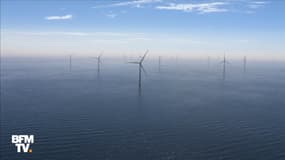 Le plus grand parc éolien au monde ouvre au large de l'Angleterre