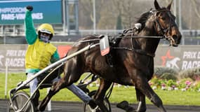Vivid Wise As s'impose au finish 