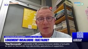 Seine-Maritime: que faire en cas de logement insalubre?