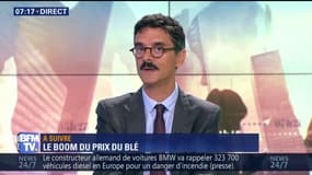 Le prix du blé s'envole mais vous ne devriez pas payer votre baguette plus cher