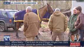 La chasse de la discorde