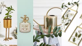 Des idées cadeaux pour les amoureux des plantes