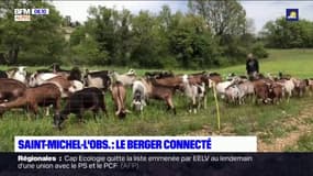 Saint-Michel-l'Observatoire: rencontre avec un berger qui partage son quotidien sur les réseaux sociaux 