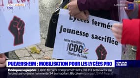 La mobilisation contre la réforme des lycées professionnels très suivie à Pulversheim