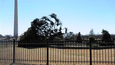 L'arbre de Noël national américain, situé près de la Maison blanche à Washington, s'est brisé samedi sous la force de vents violents qui ont frappé la capitale américaine. Cet épicéa du Colorado, allumé chaque année par le président américain pour marquer