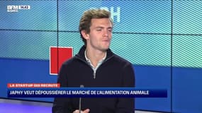La start-up qui recrute: Japhy veut dépoussiérer le marché de l'alimentation animale - 05/12