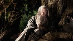 Ian McKellen en Gandalf dans "Le Seigneur des anneaux"