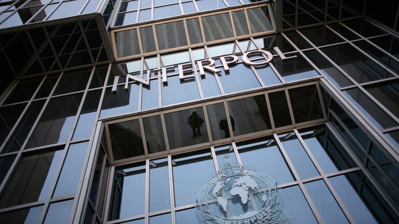 Interpol a lancé sa première opération d'appel à témoins pour des criminels de l'environnement (photo d'illustration).