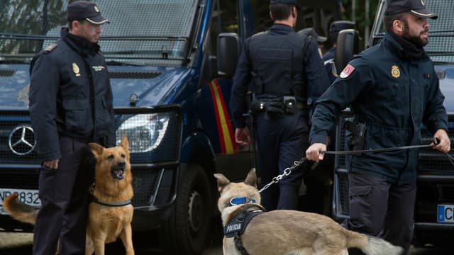 Cinq personnes ont été arrêtées dans le cadre de l'enquête sur un vaste trafic d'armes. (Image d'illustration)