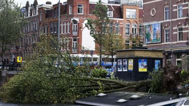 Au Danemark, comme ici aux Pays-Bas, la tempête a causé de nombreux dégâts.