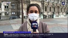 Anne Hidalgo et les écologistes peuvent-ils se reconcilier?  