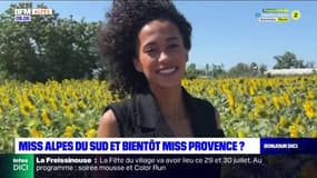 Provence: l'élection de la miss organisé ce jeudi soir