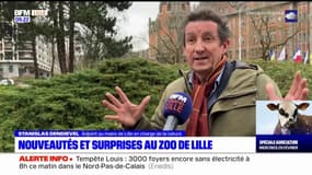 Des nouveautés et surprises au zoo de Lille