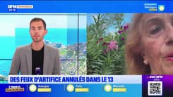 Feux d'artifice du 14 juillet : le risque incendie reste élevé en Provence