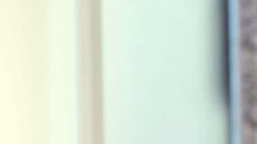 Stéphane Guillon est chroniqueur dans "Salut les Terriens!".