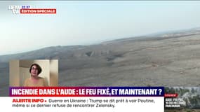Feu fixé dans l'Aude: "Il faut amplifier la flotte existante", estime Sophie Pantel, député de Lozère (PS)