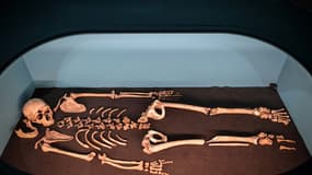 Le squelette d'un homme de Neanderthal lors d'une exposition du Musée de l'Homme, le 26 mars 2018 à Paris