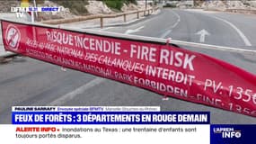 "C'est plus prudent": le parc des Calanques à Marseille fermé dû aux risques élevés de feux de forêt
