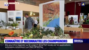 Tourrette-Levens: la 53e édition du salon des champignons s'est tenue ce week-end