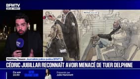 Procès de Cédric Jubillar: l'ex-femme de l'amant de Delphine a été entendue à la barre.