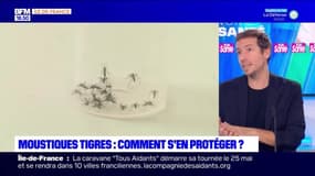 Votre Santé : Prolifération de moustiques tigres en IDF.