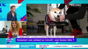 Daniel Riolo interpelle Sandra Krief sur les règles à respecter quand on amène son animal au travail :  "Ce n'est pas du racisme la différenciation entre les chiens ?" 