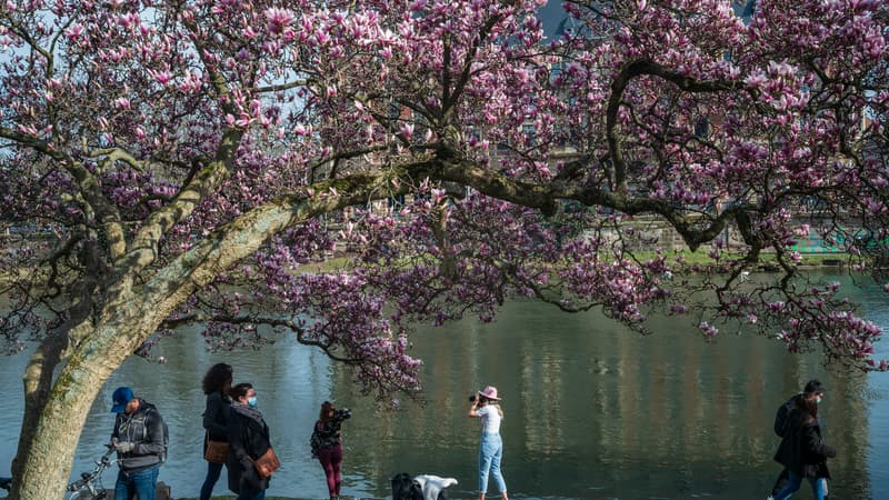Des promeneurs à Strasbourg en mars 2023. (Photo d'illustration)